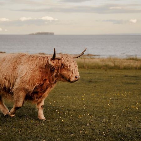Clover Cottage Countryside Retreat With Sea Views クレイル エクステリア 写真