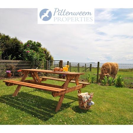 Clover Cottage Countryside Retreat With Sea Views クレイル エクステリア 写真