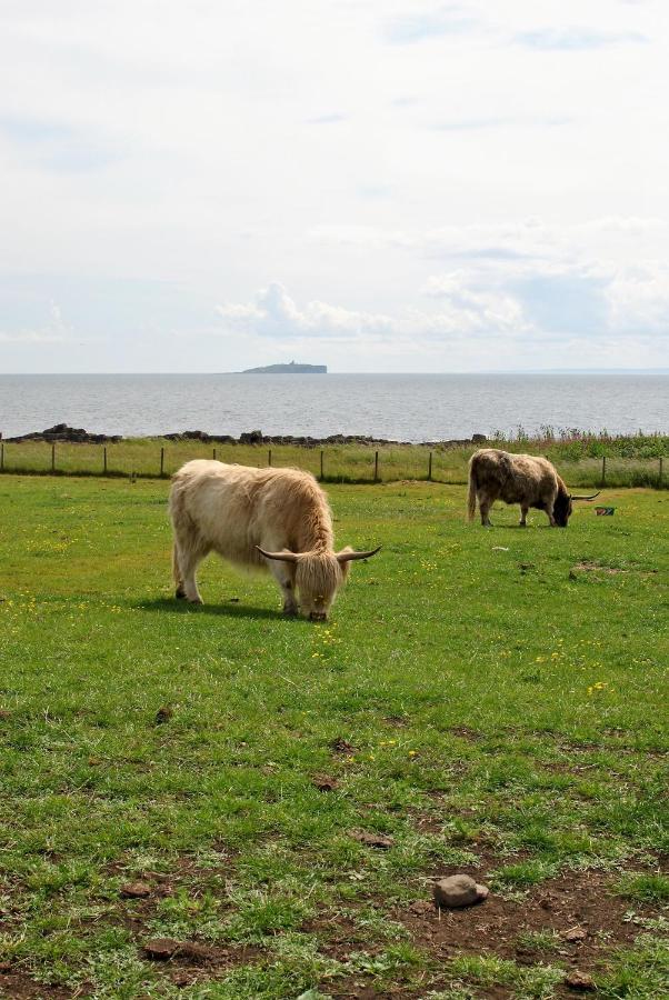 Clover Cottage Countryside Retreat With Sea Views クレイル エクステリア 写真