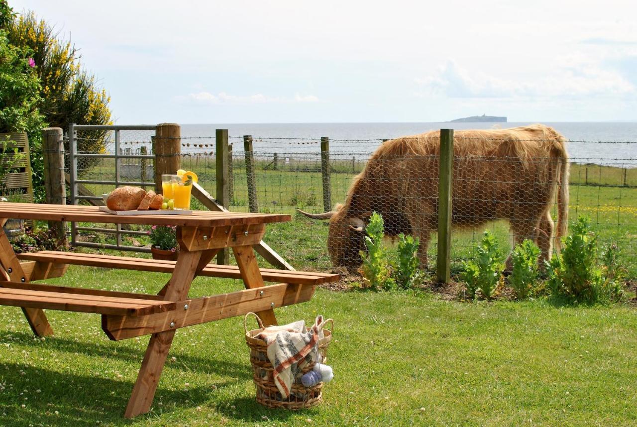 Clover Cottage Countryside Retreat With Sea Views クレイル エクステリア 写真