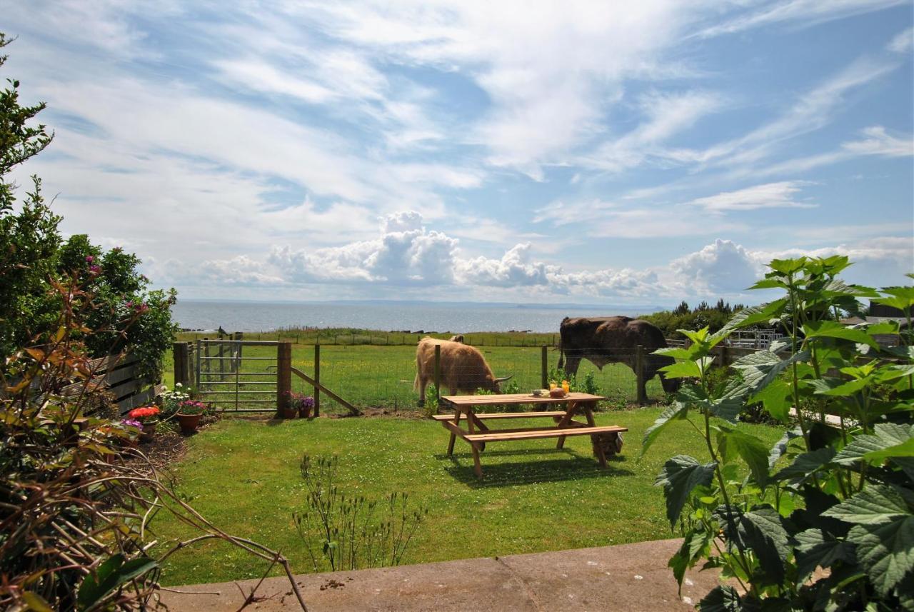 Clover Cottage Countryside Retreat With Sea Views クレイル エクステリア 写真